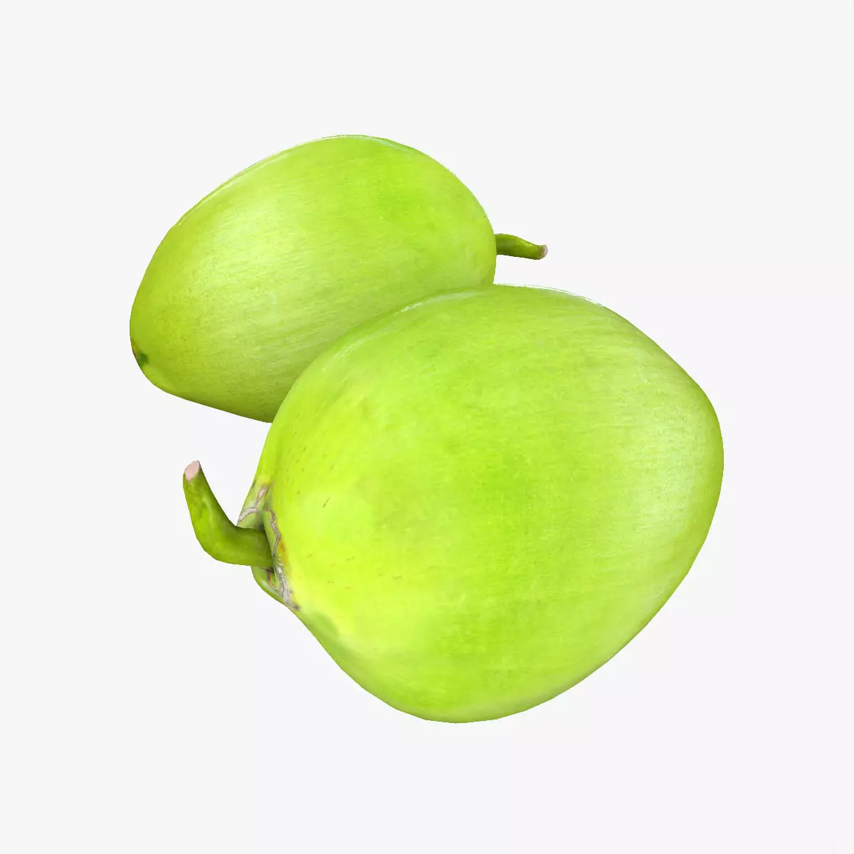 Mega Fruits 3D Model Collection Low-poly 3D model_41