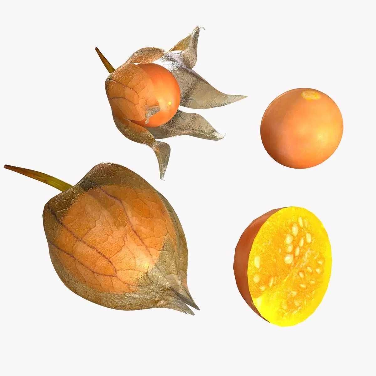 Mega Fruits 3D Model Collection Low-poly 3D model_20