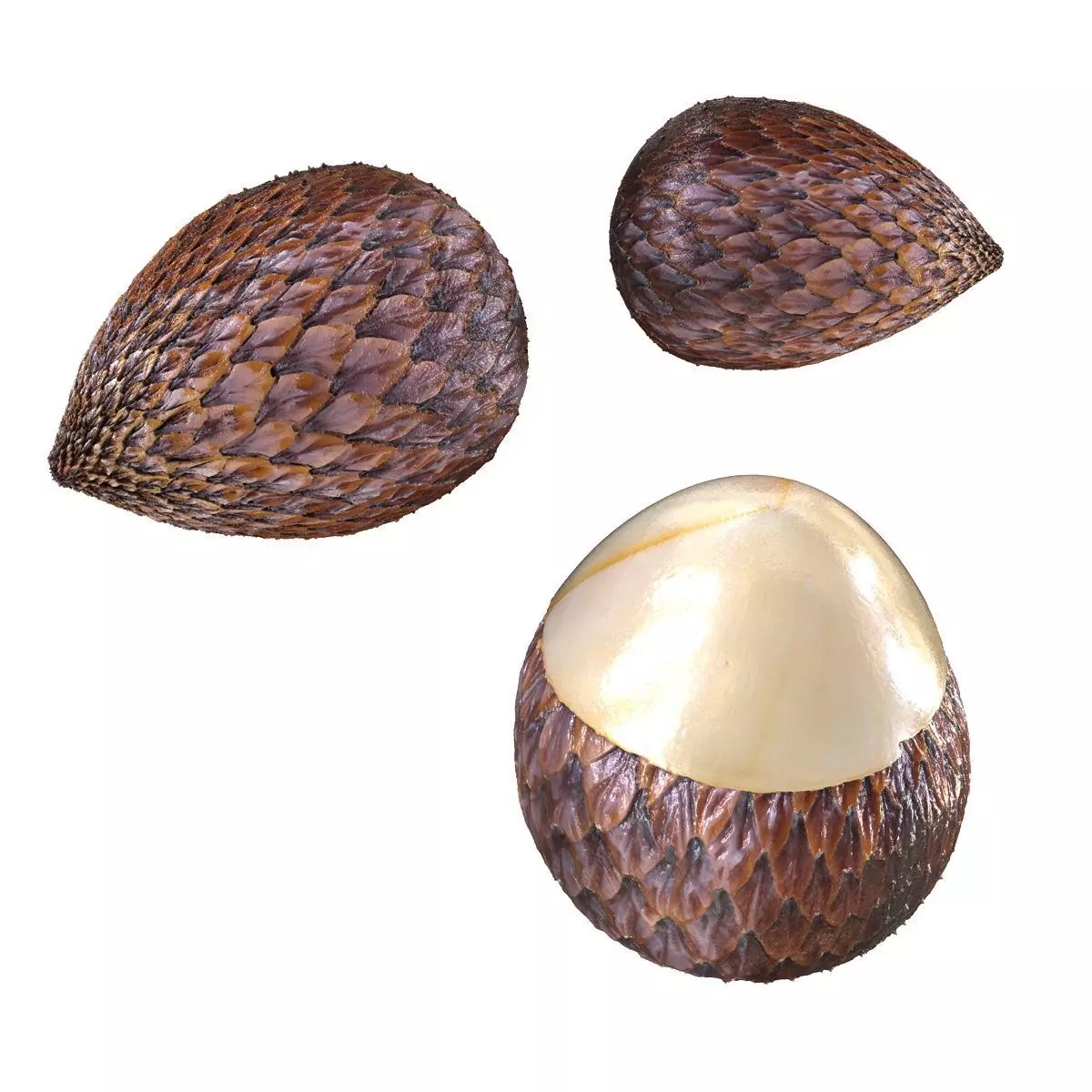 Mega Fruits 3D Model Collection Low-poly 3D model_25