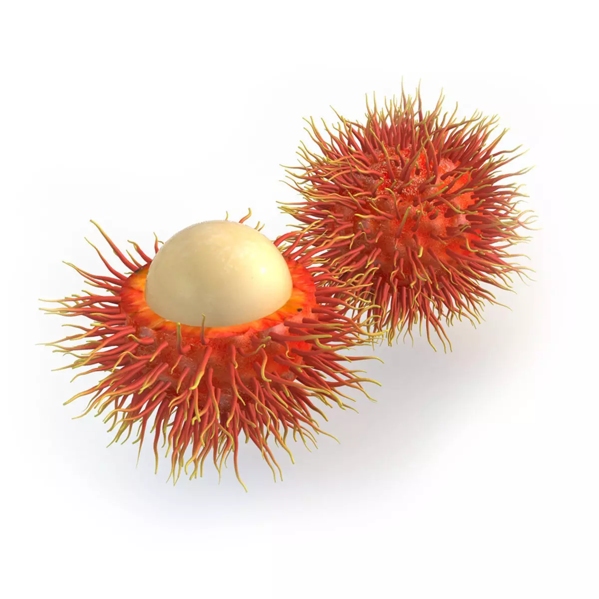 Mega Fruits 3D Model Collection Low-poly 3D model_72