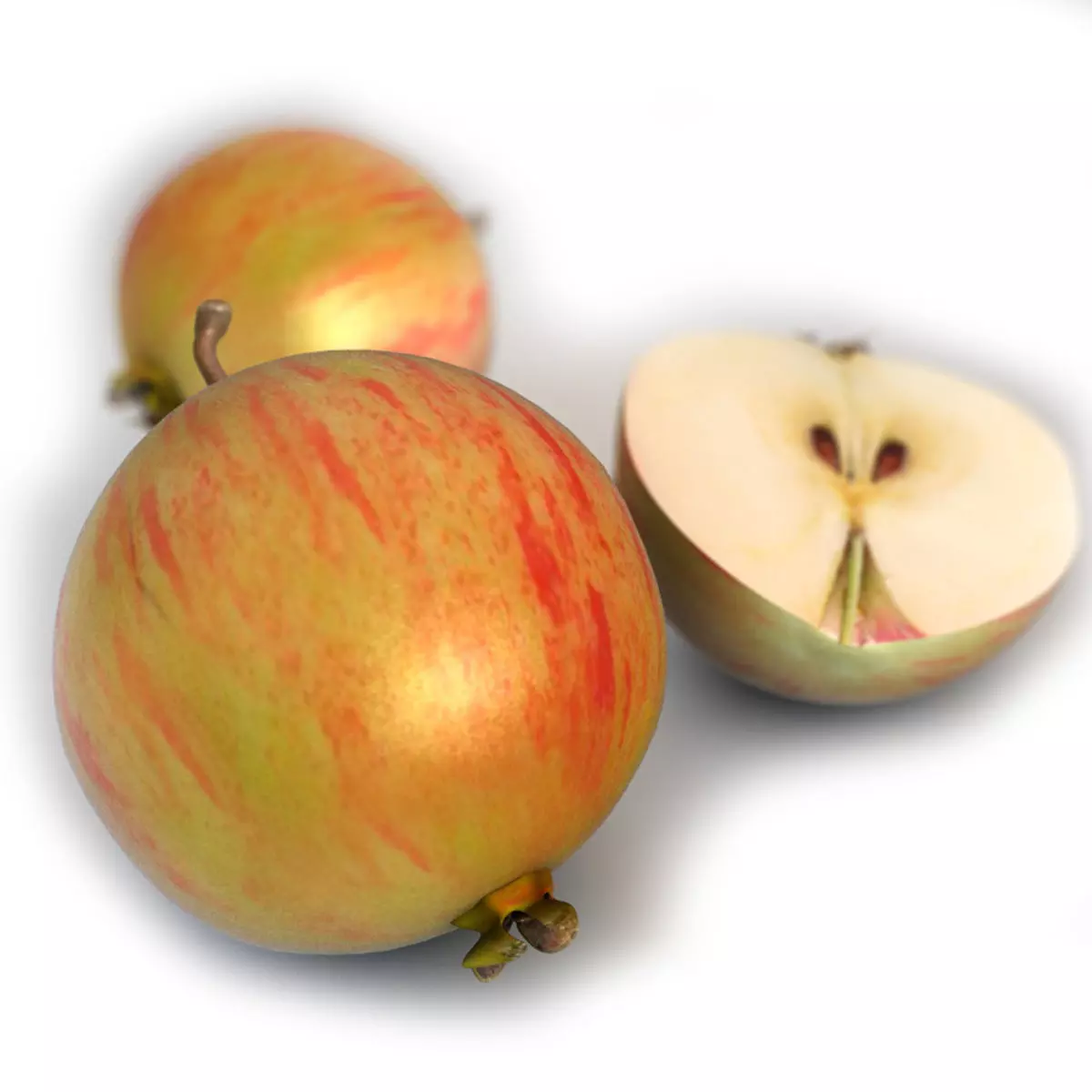 Mega Fruits 3D Model Collection Low-poly 3D model_44