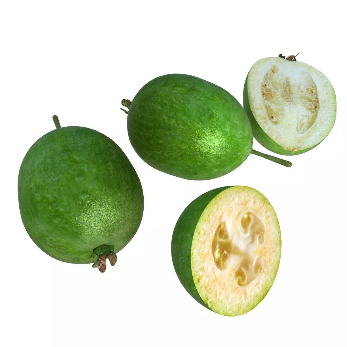 Mega Fruits 3D Model Collection Low-poly 3D model_4