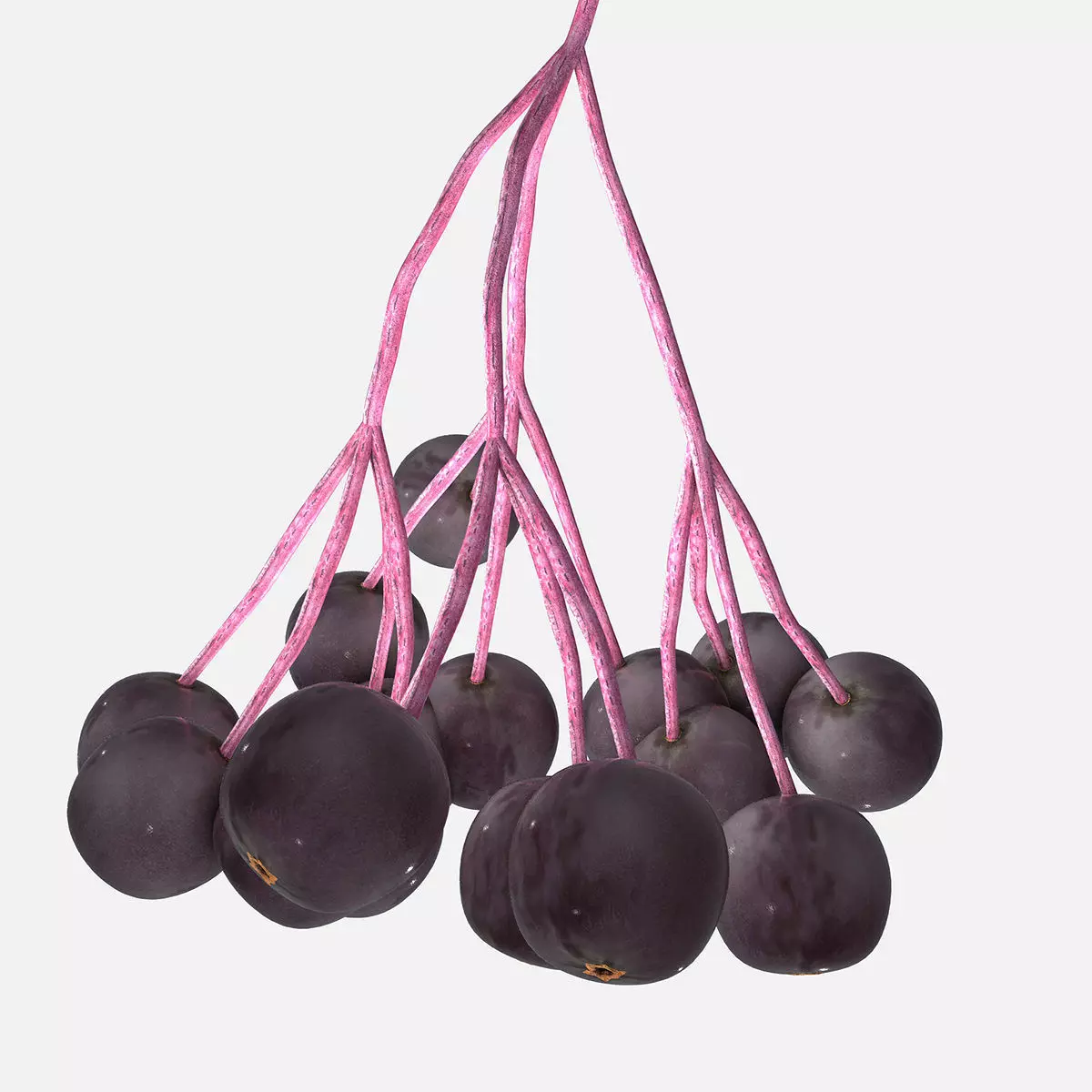 Mega Fruits 3D Model Collection Low-poly 3D model_48