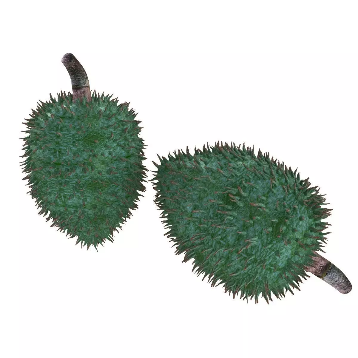 Mega Fruits 3D Model Collection Low-poly 3D model_74