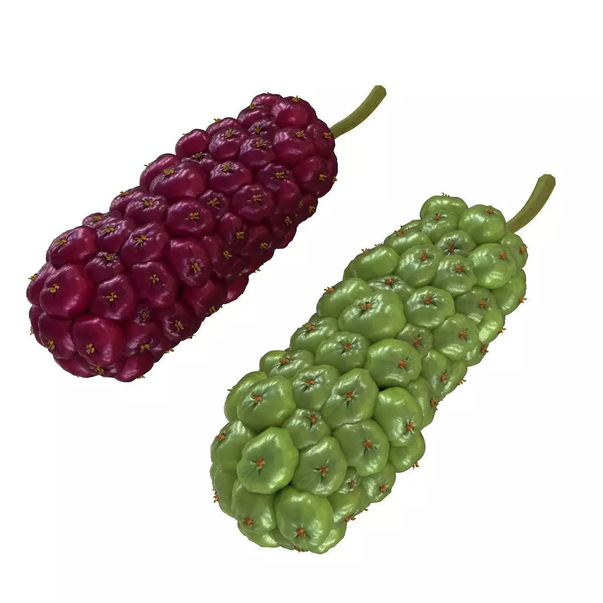 Mega Fruits 3D Model Collection Low-poly 3D model_15