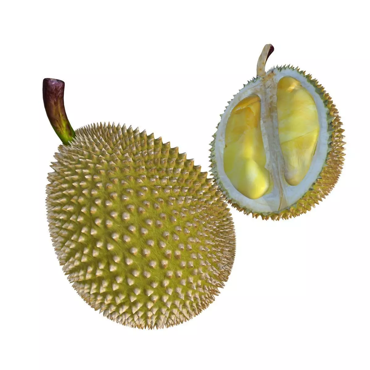 Mega Fruits 3D Model Collection Low-poly 3D model_3