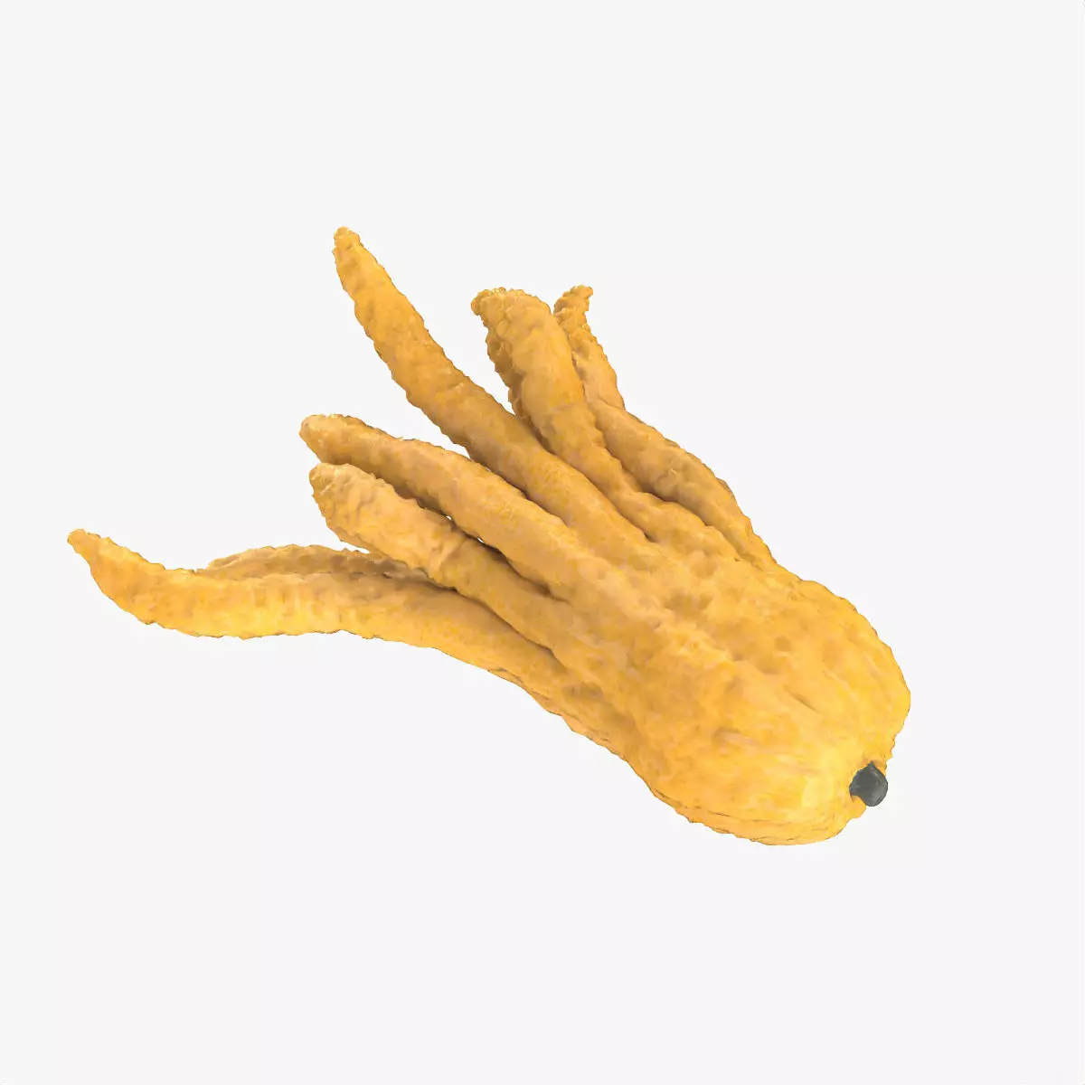 Mega Fruits 3D Model Collection Low-poly 3D model_35