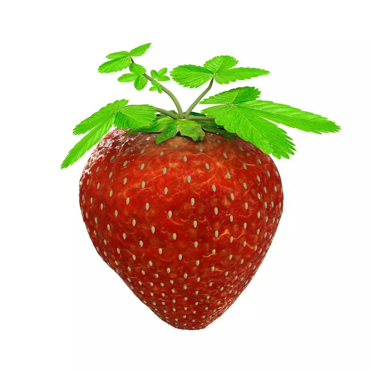 Mega Fruits 3D Model Collection Low-poly 3D model_75