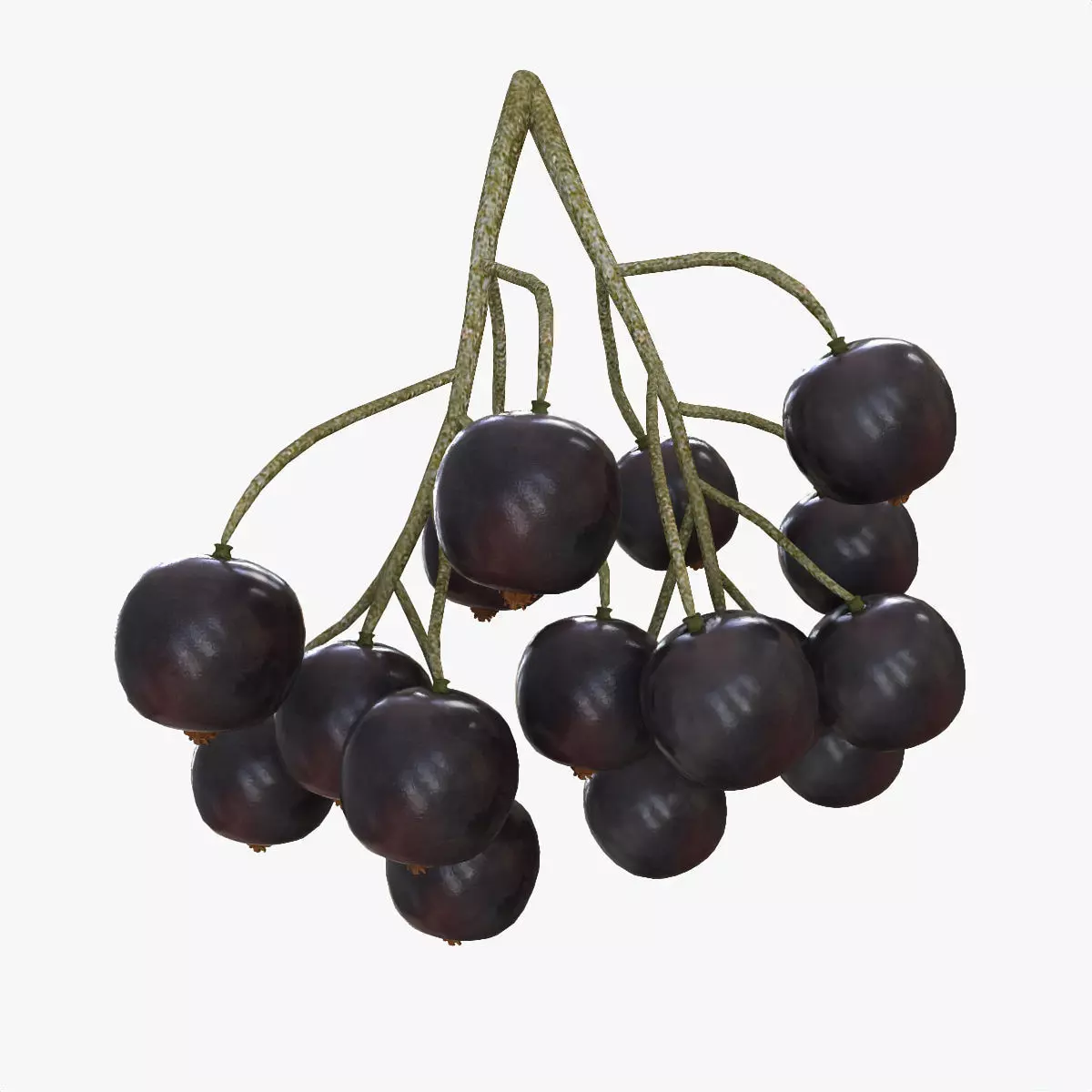 Mega Fruits 3D Model Collection Low-poly 3D model_33