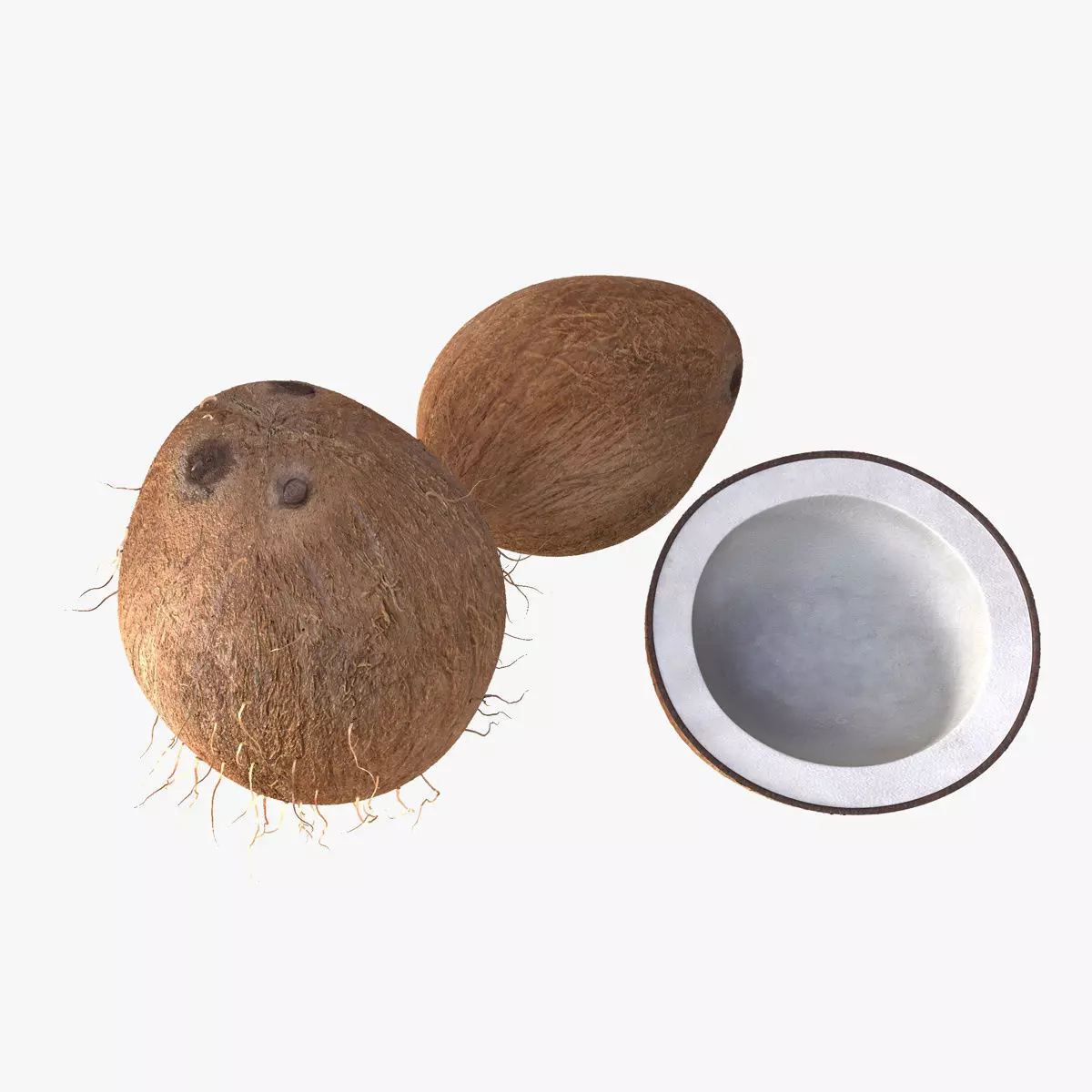 Mega Fruits 3D Model Collection Low-poly 3D model_42