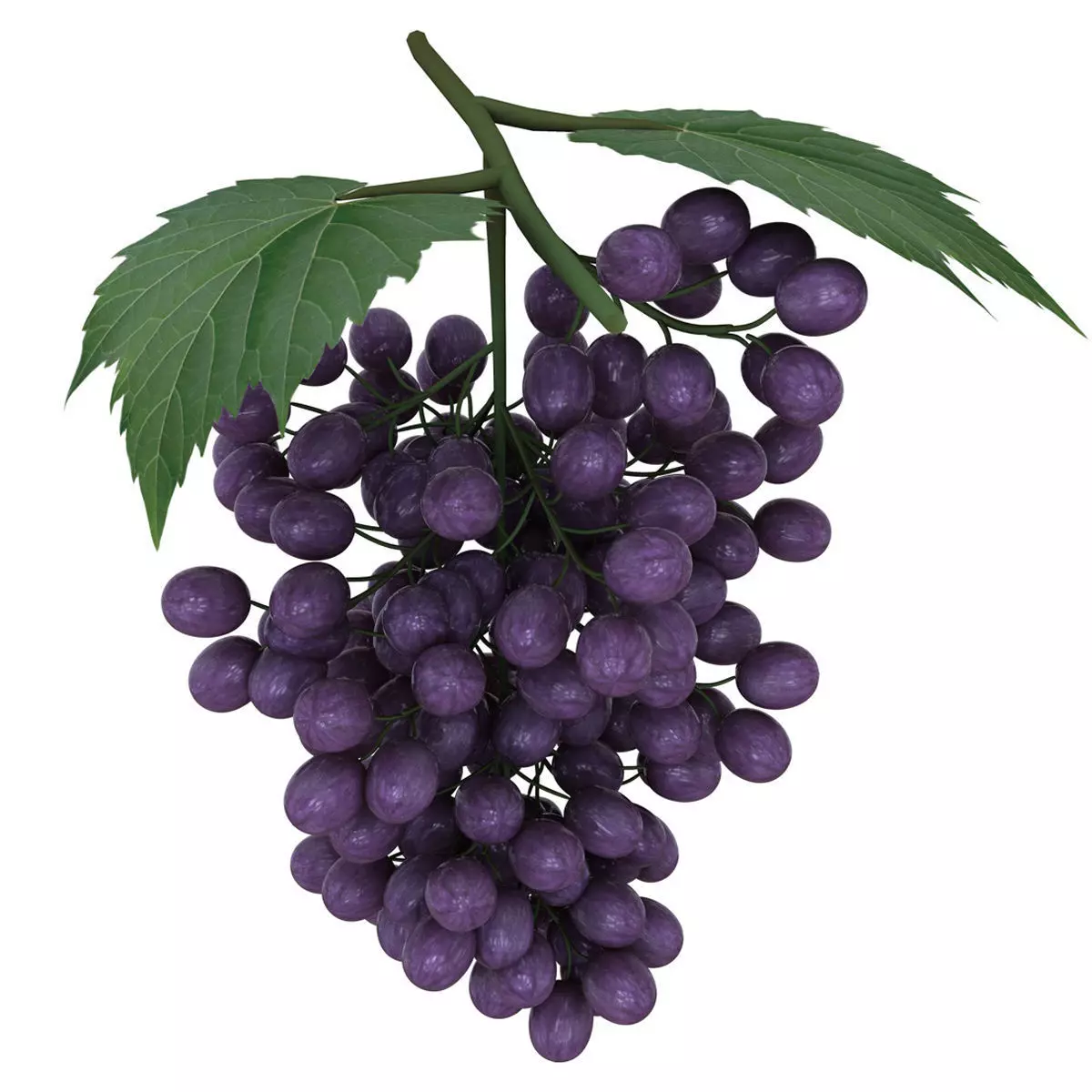 Mega Fruits 3D Model Collection Low-poly 3D model_51