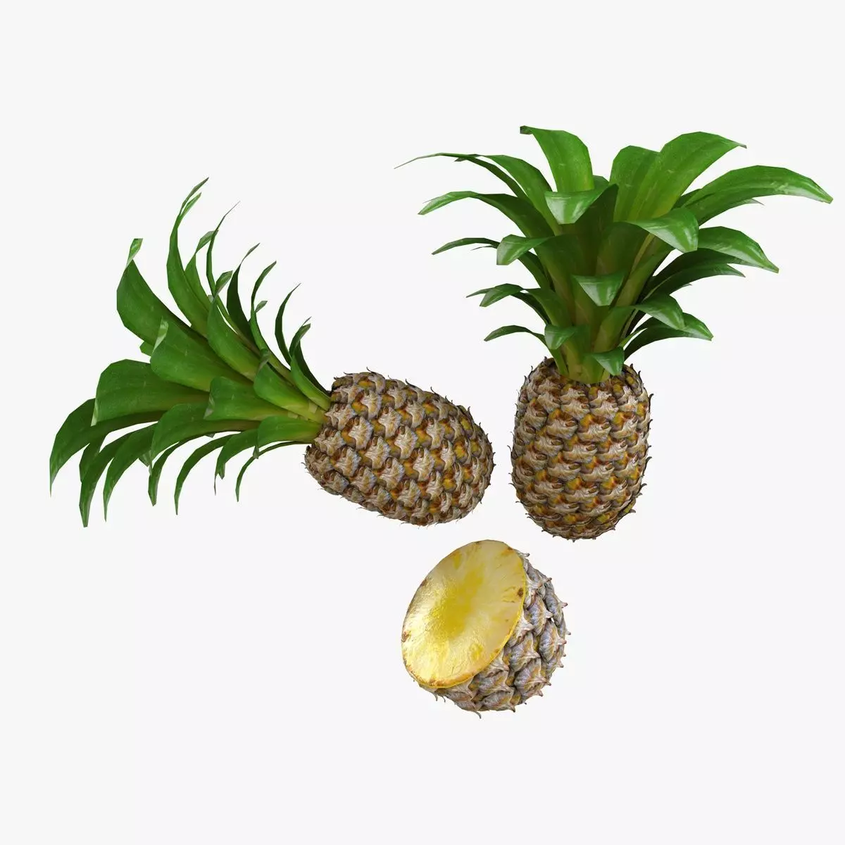 Mega Fruits 3D Model Collection Low-poly 3D model_70