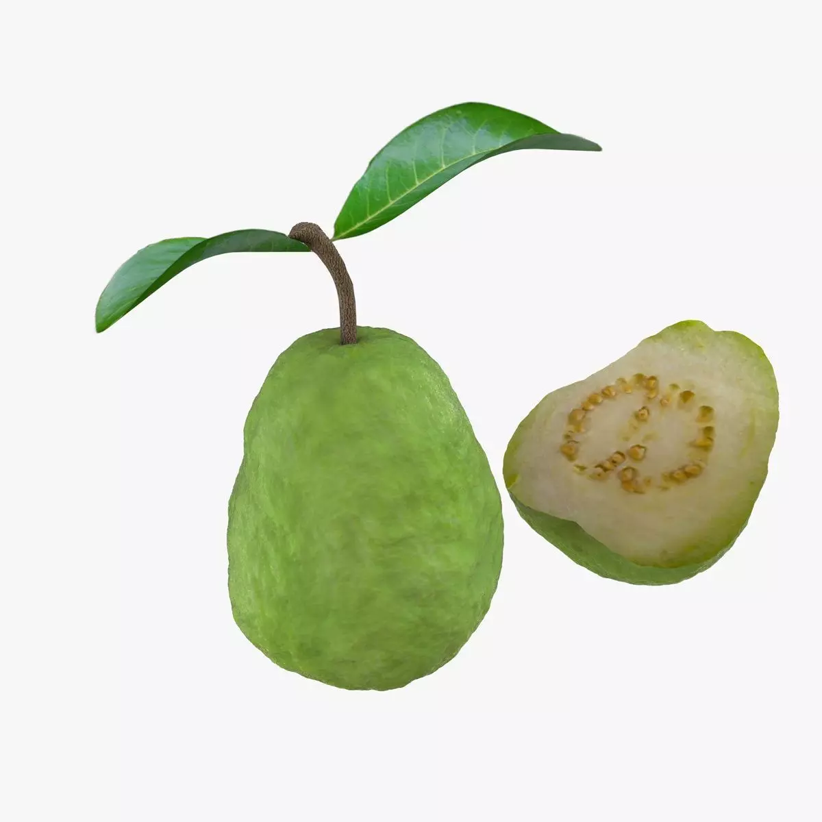 Mega Fruits 3D Model Collection Low-poly 3D model_52