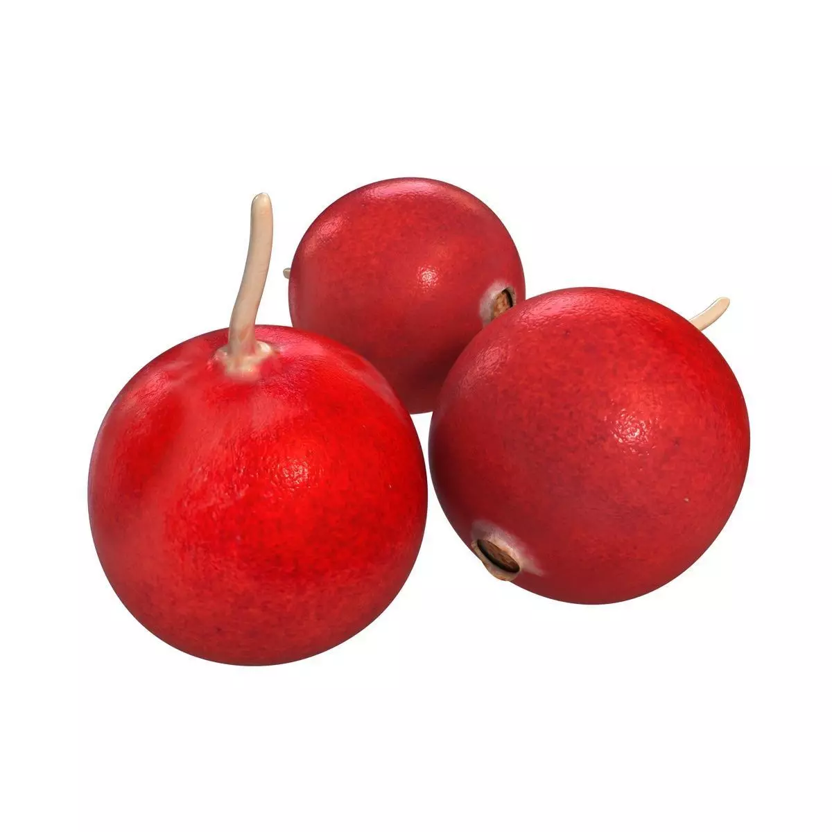 Mega Fruits 3D Model Collection Low-poly 3D model_45