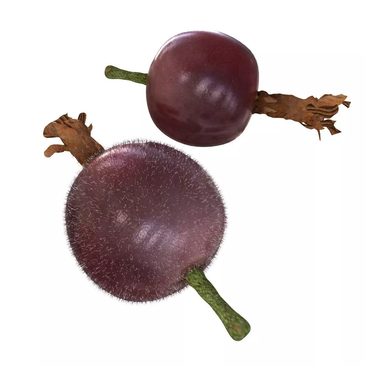 Mega Fruits 3D Model Collection Low-poly 3D model_56