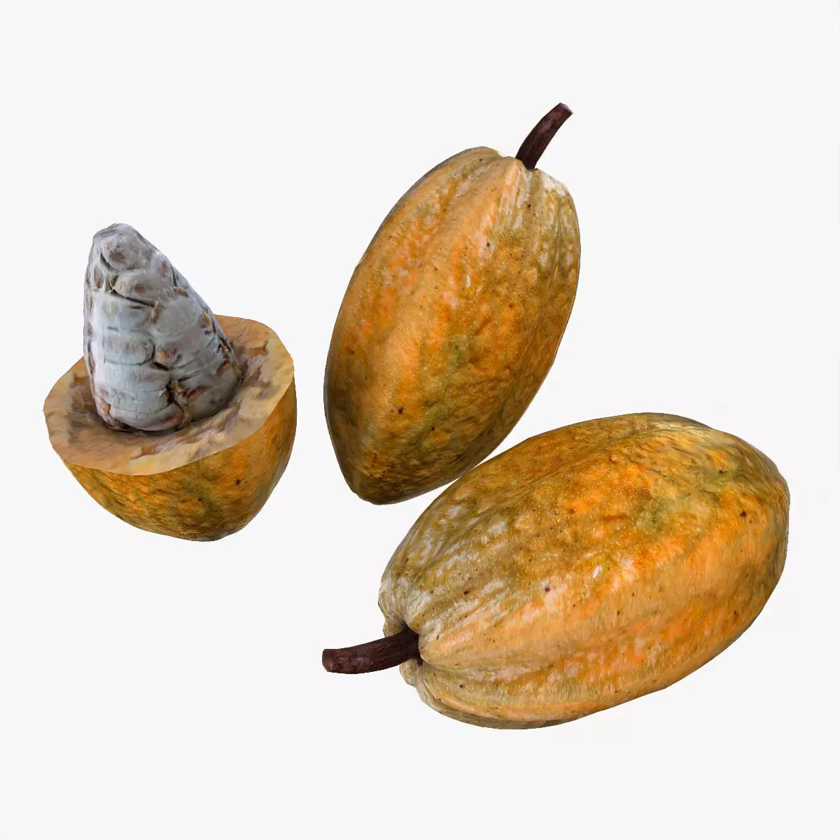 Mega Fruits 3D Model Collection Low-poly 3D model_40