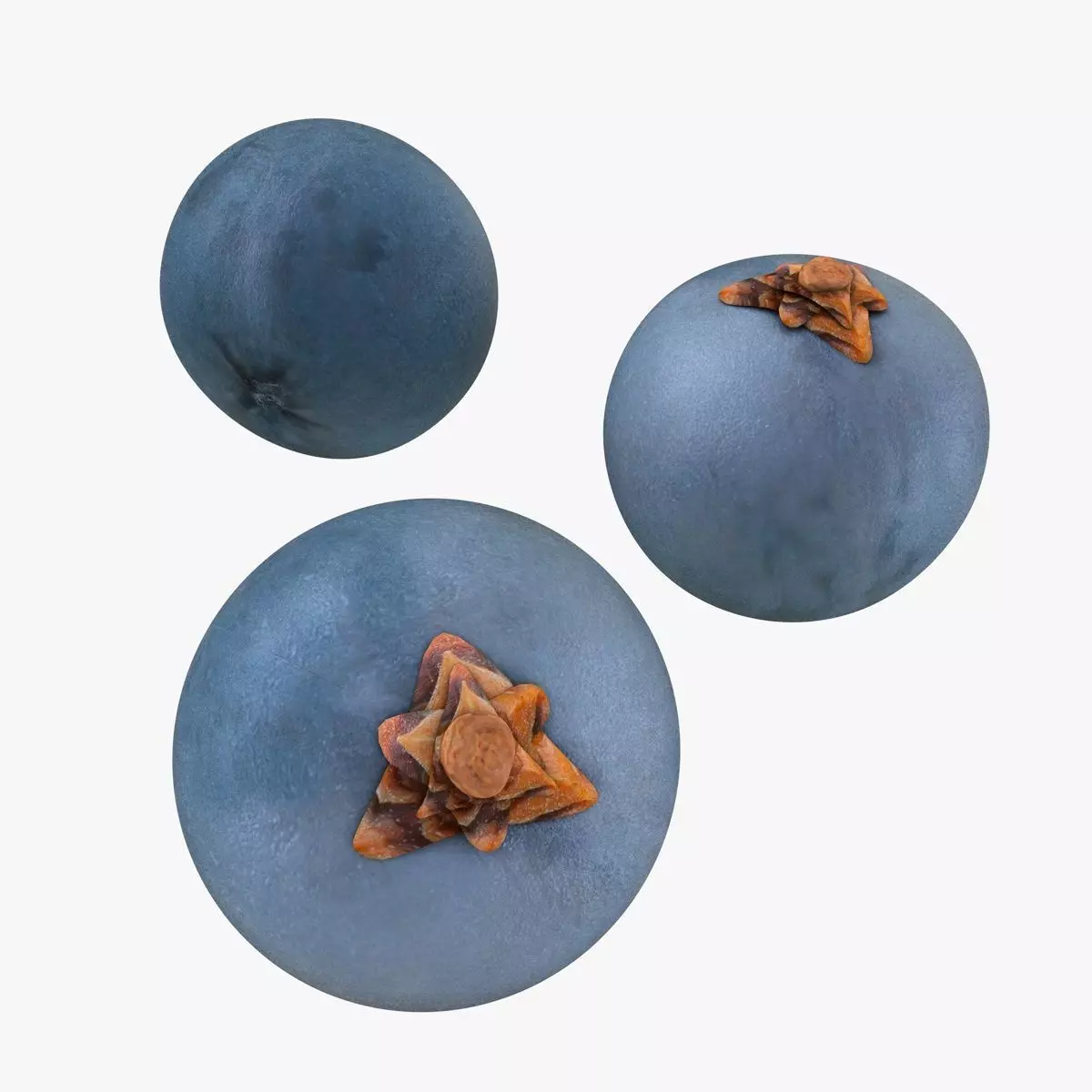 Mega Fruits 3D Model Collection Low-poly 3D model_59