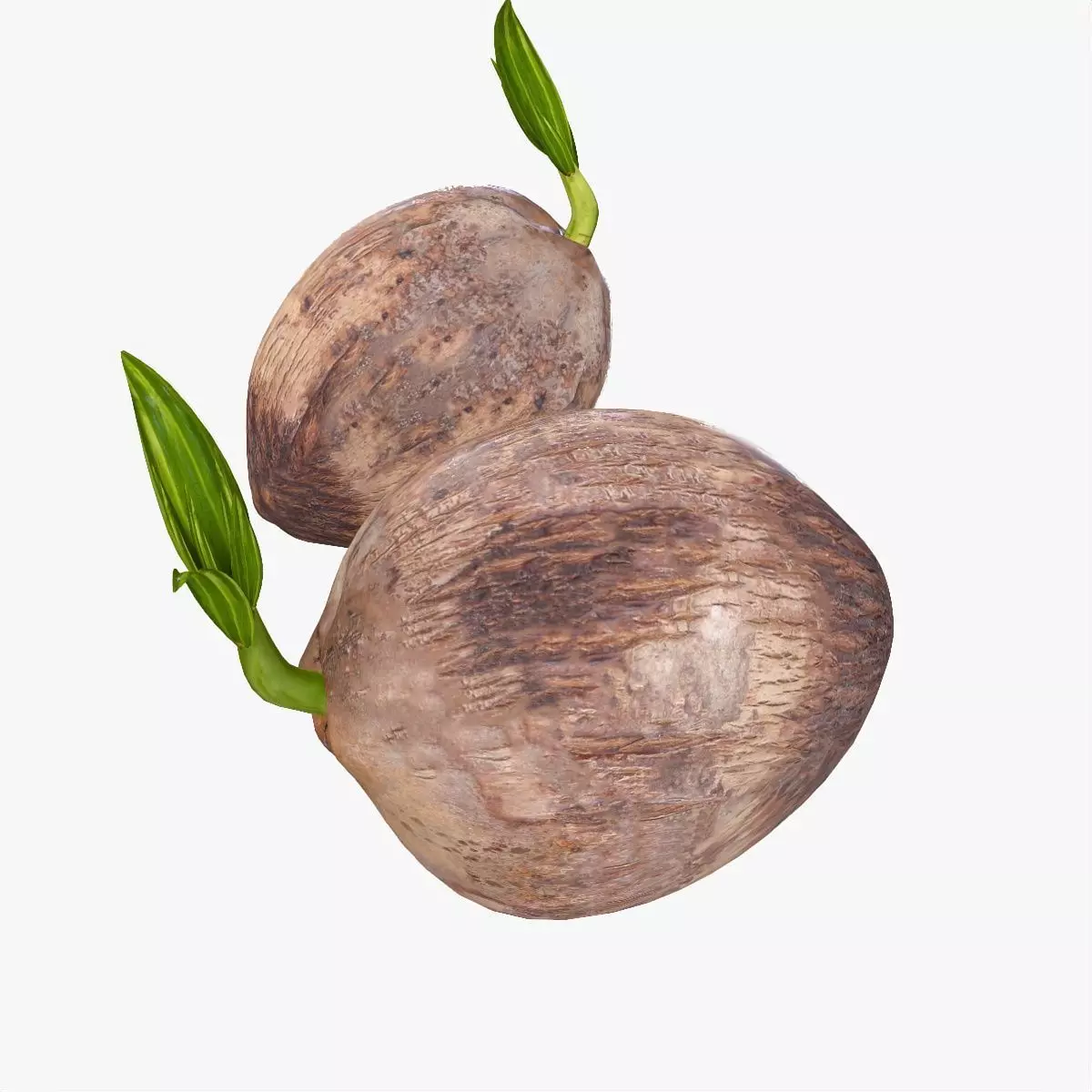 Mega Fruits 3D Model Collection Low-poly 3D model_43