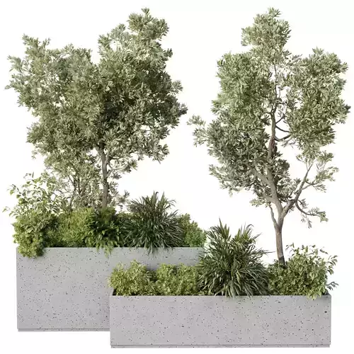 Plant Box garden - indoor Plants set 674