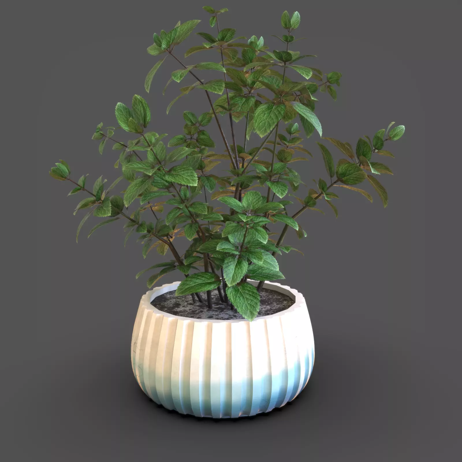 Mint Plant Pot 3D model_2
