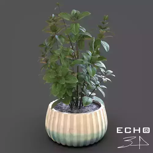 Mint Plant Pot 3D model