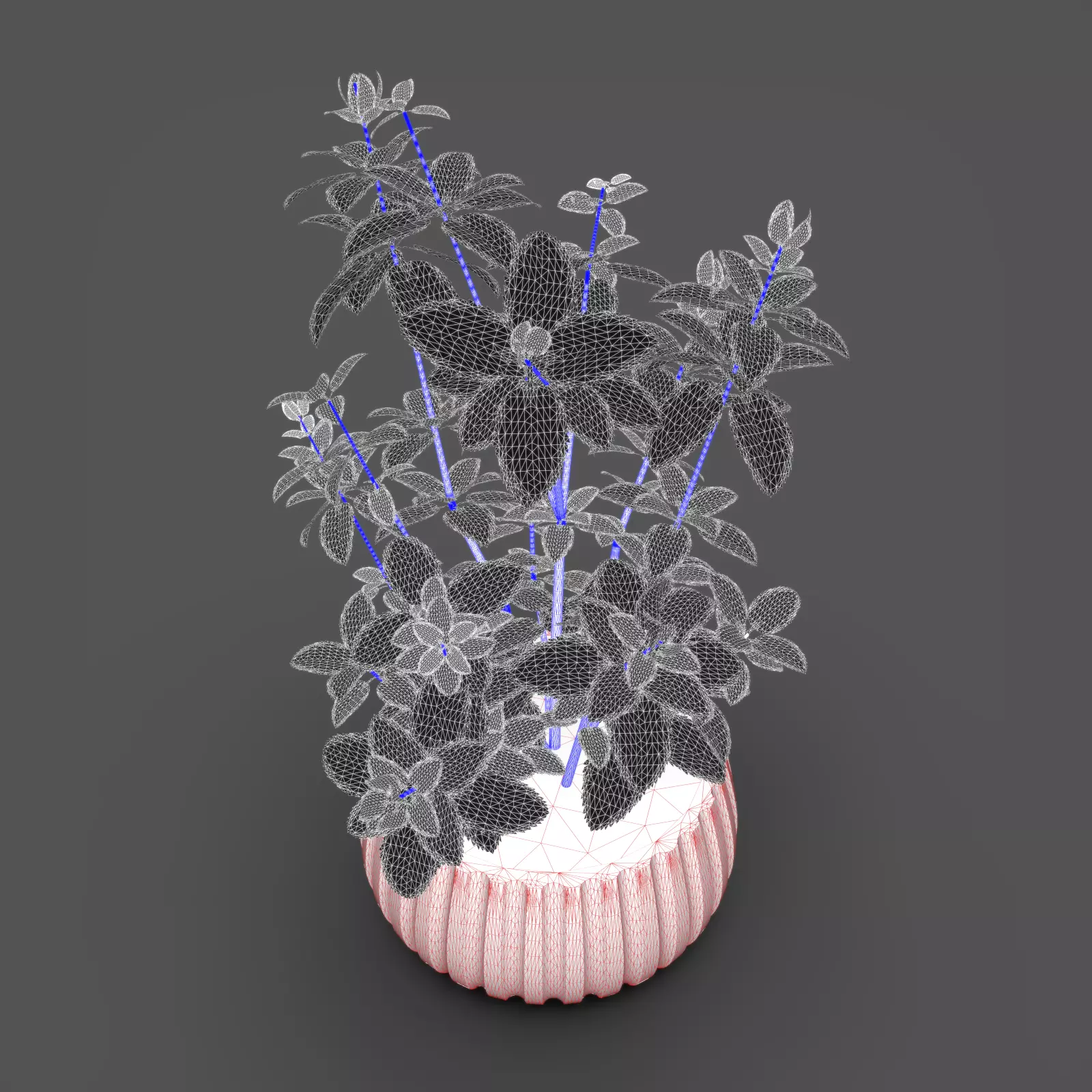 Mint Plant Pot 3D model_6