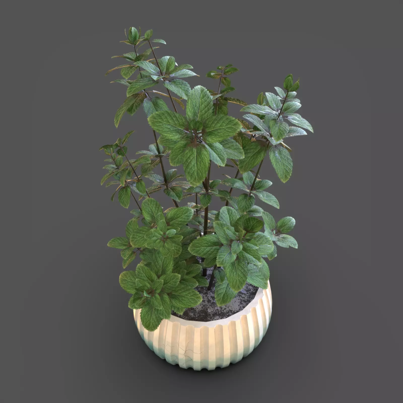 Mint Plant Pot 3D model_1