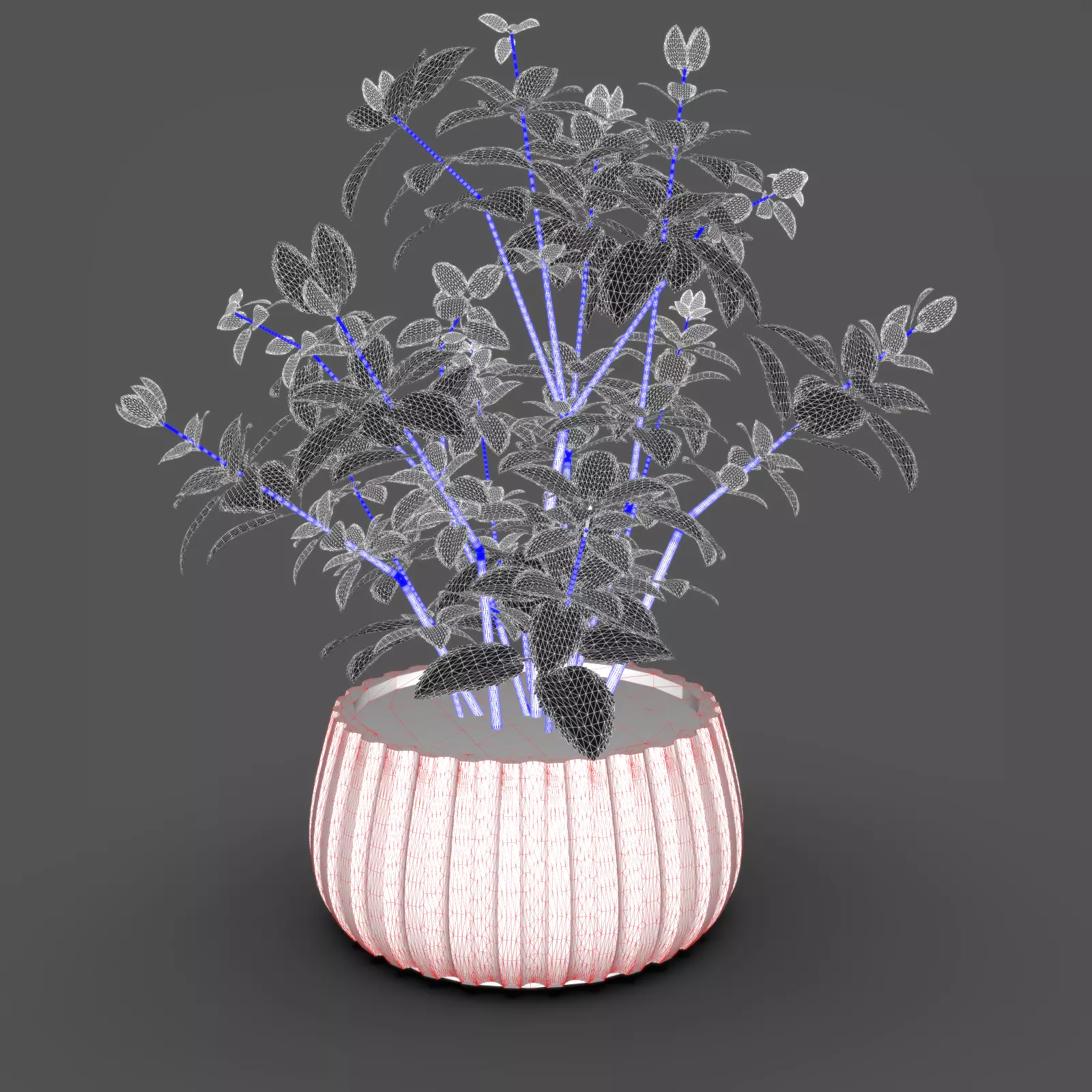 Mint Plant Pot 3D model_7