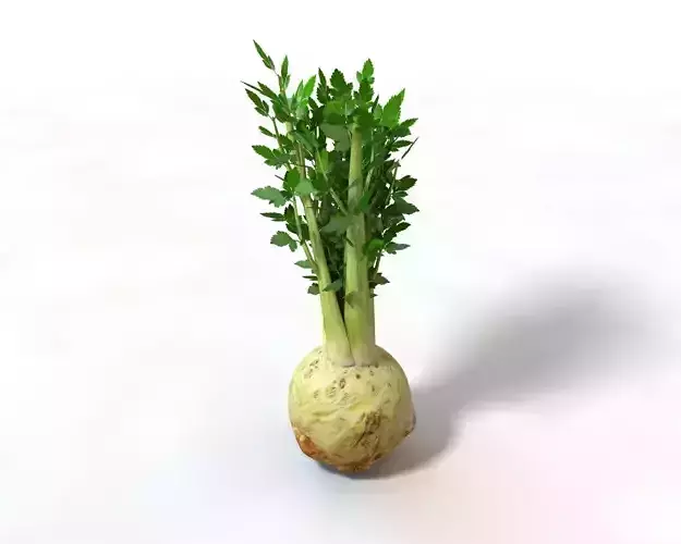 Vegetables 3d model collection Low-poly 3D model 7