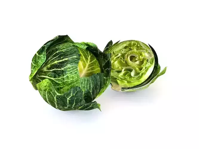 Vegetables 3d model collection Low-poly 3D model 4