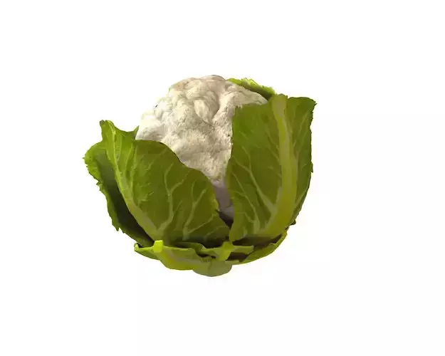 Vegetables 3d model collection Low-poly 3D model 6