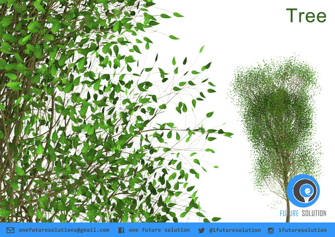 Trees willow tree Free 3D model