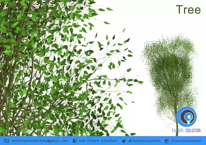 Trees willow tree Free 3D model