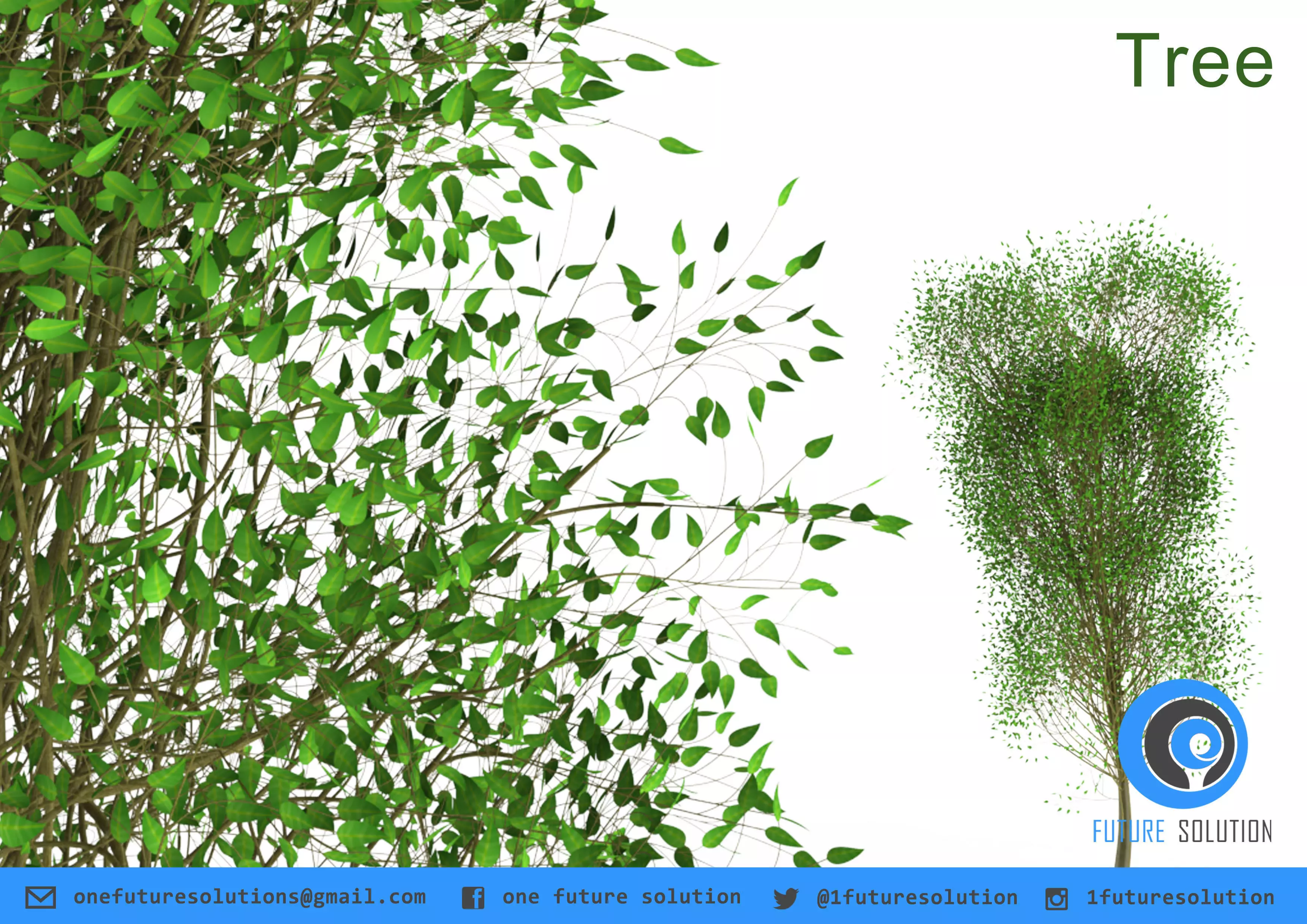 Trees willow tree Free 3D model_0