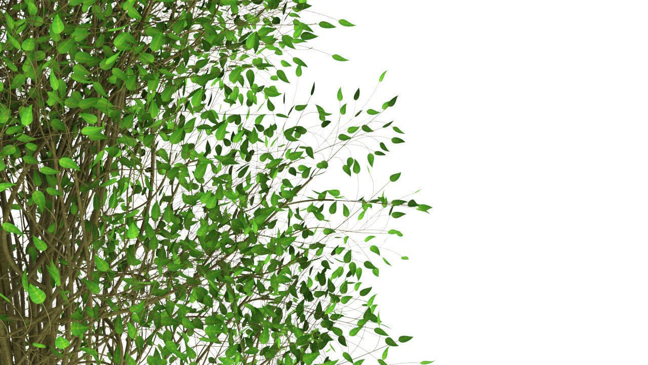 Trees willow tree Free 3D model_4