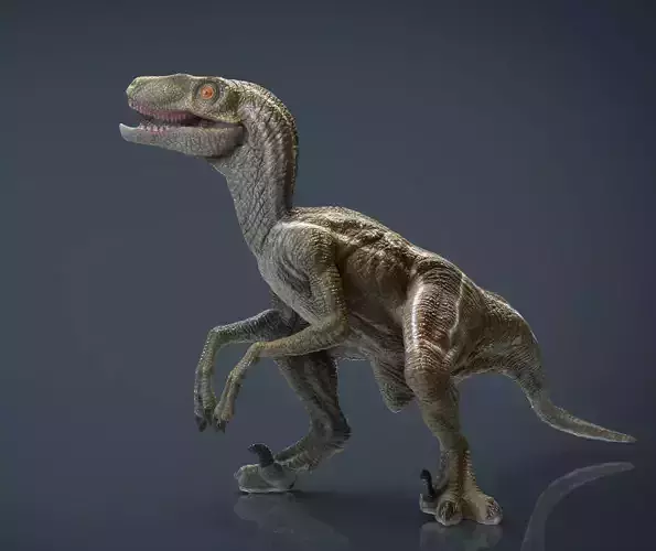 Velociraptor dinosaur Low-poly 3D model