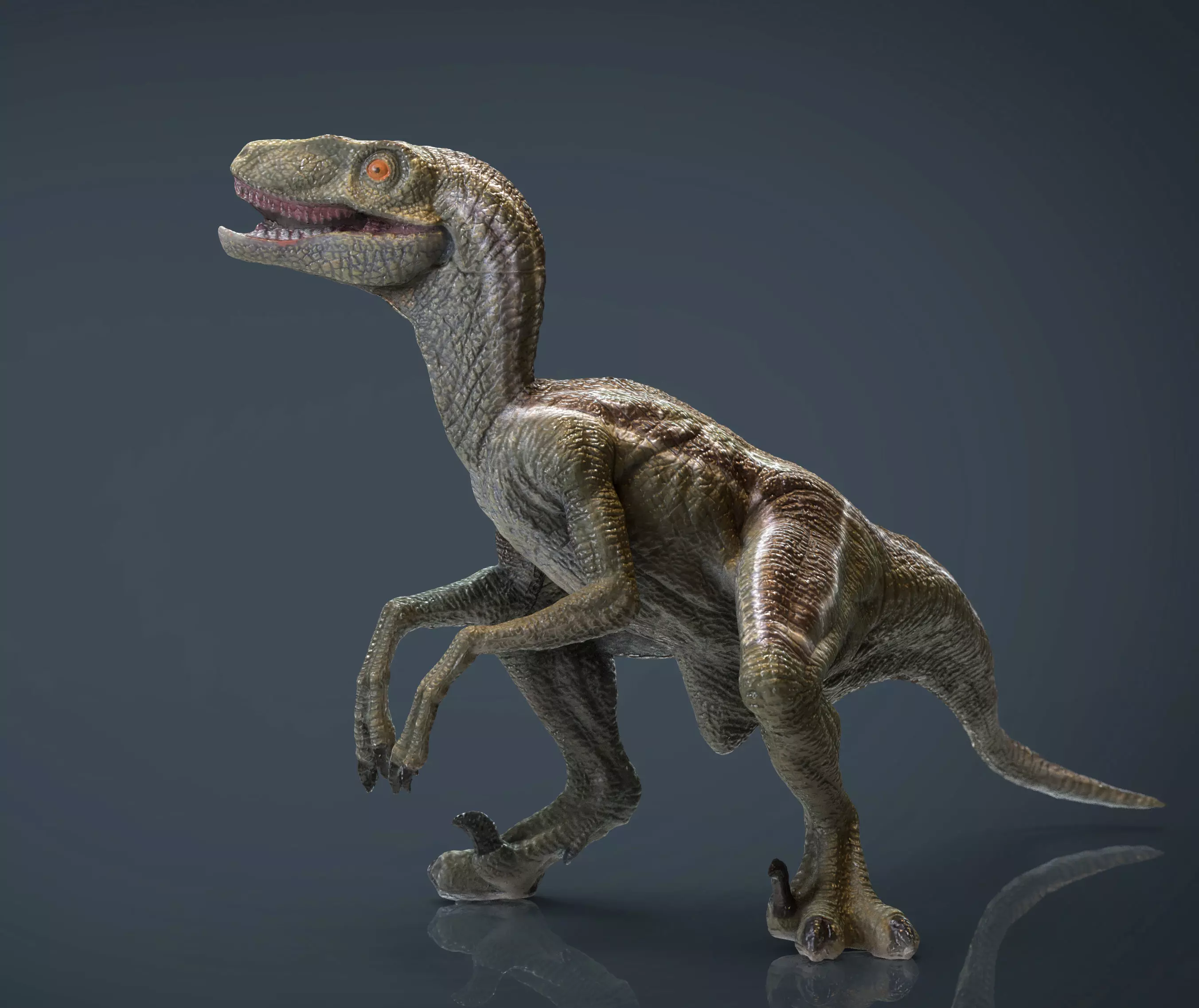 Velociraptor dinosaur Low-poly 3D model_0