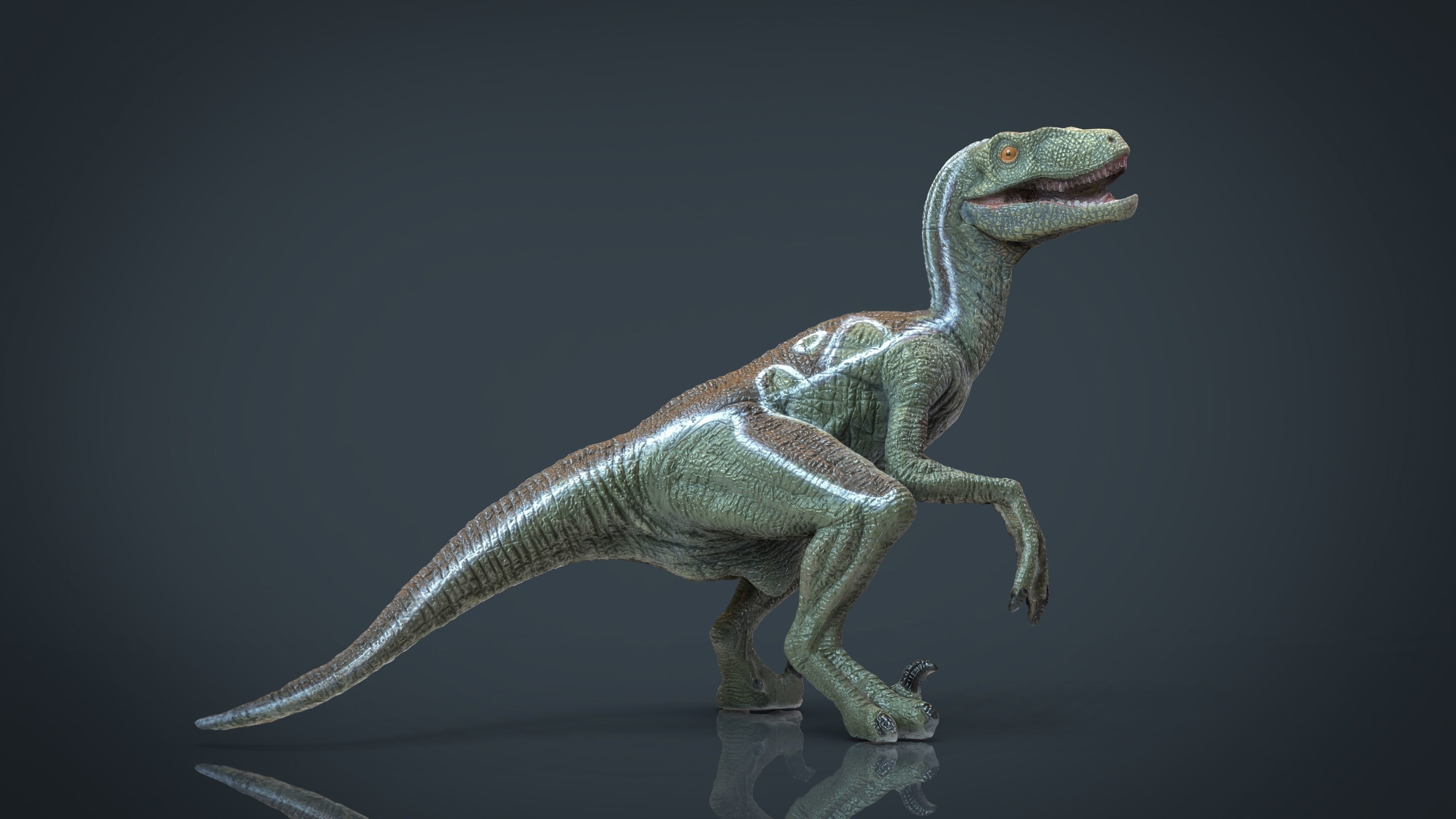 Velociraptor dinosaur Low-poly 3D model_16