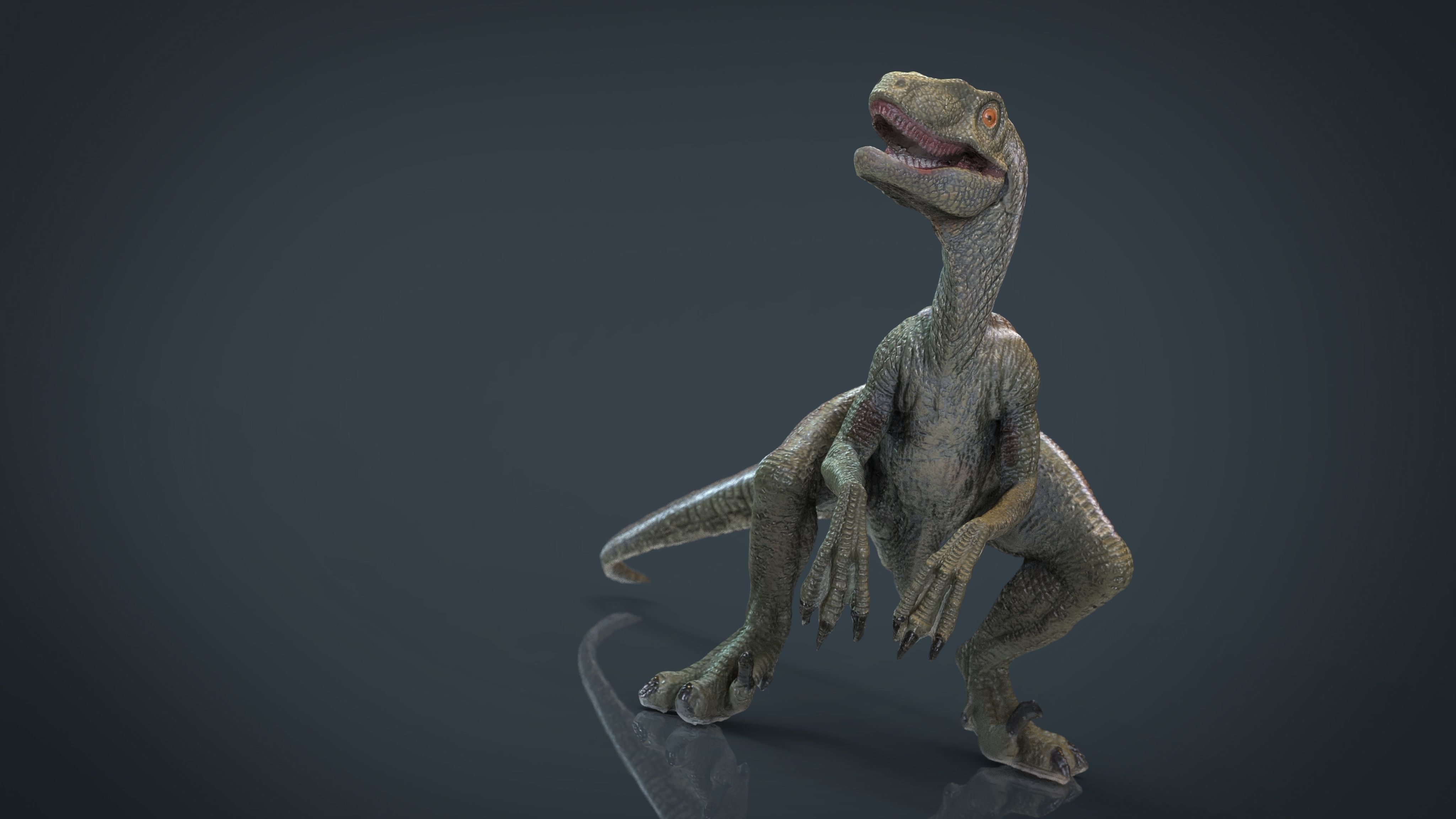 Velociraptor dinosaur Low-poly 3D model_15
