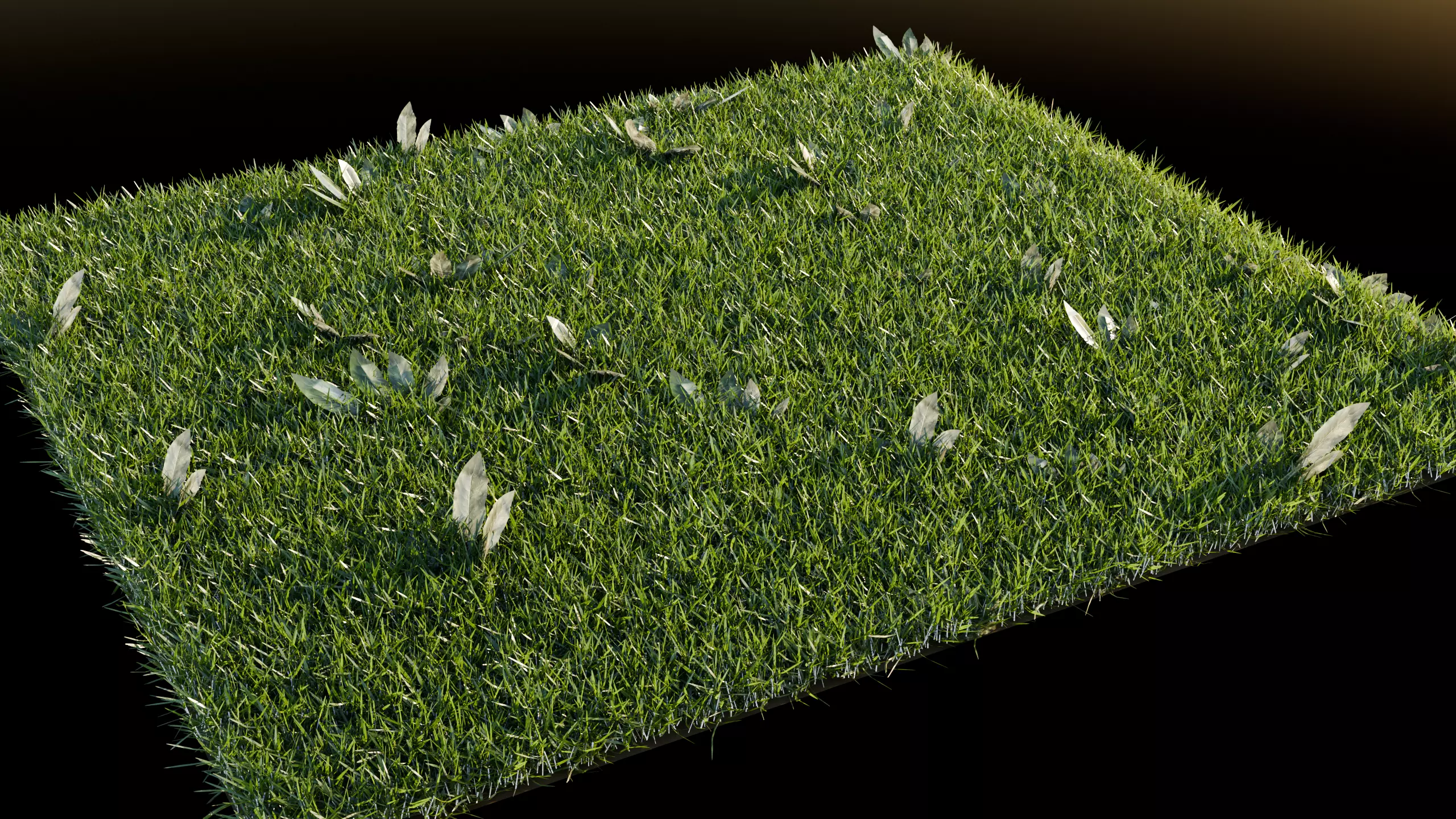 Realistic grass field with other weeds - GeoNode 3D model