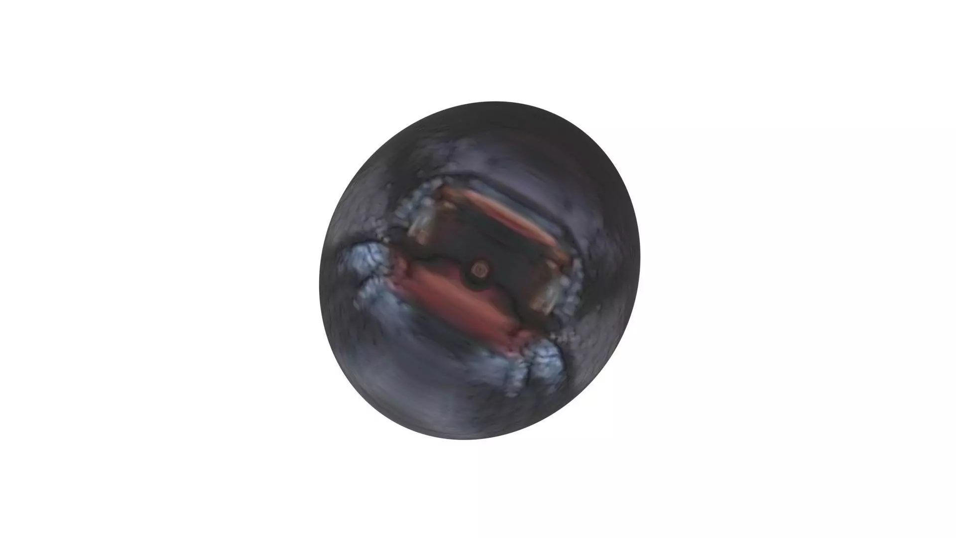 Blueberry 3D model_13