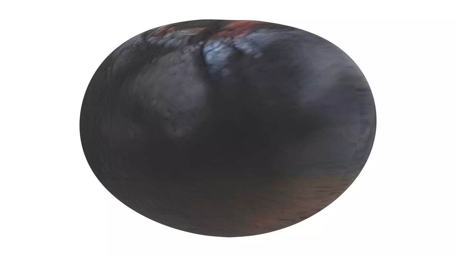 Blueberry 3D model_15