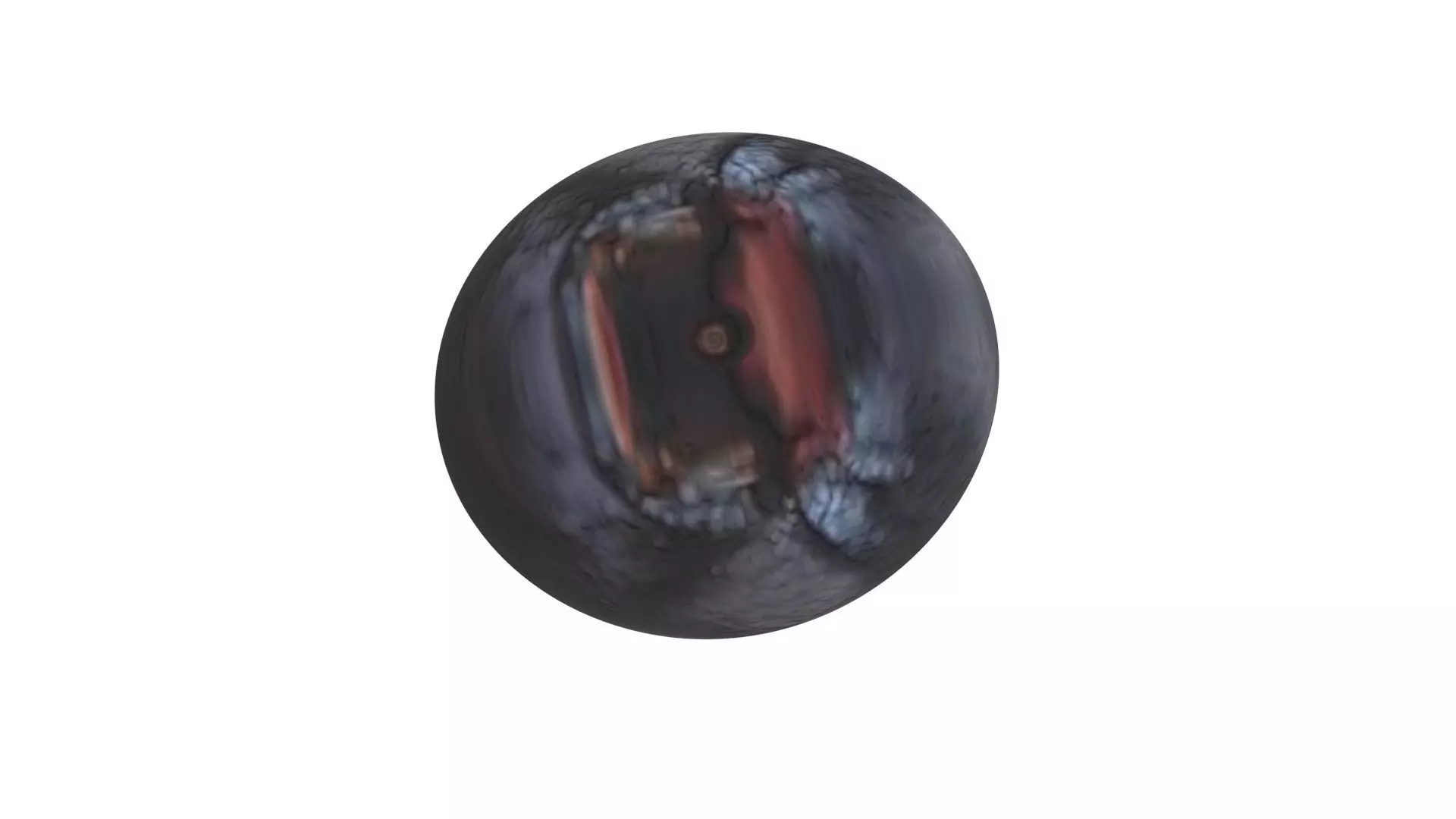 Blueberry 3D model_10