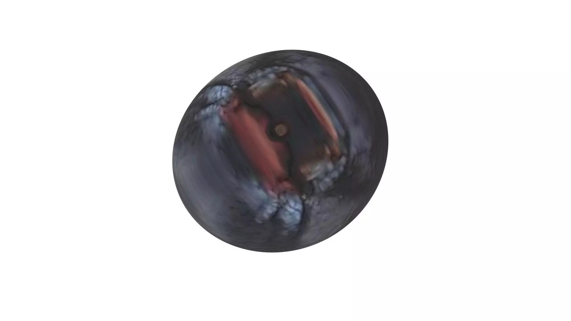 Blueberry 3D model_8