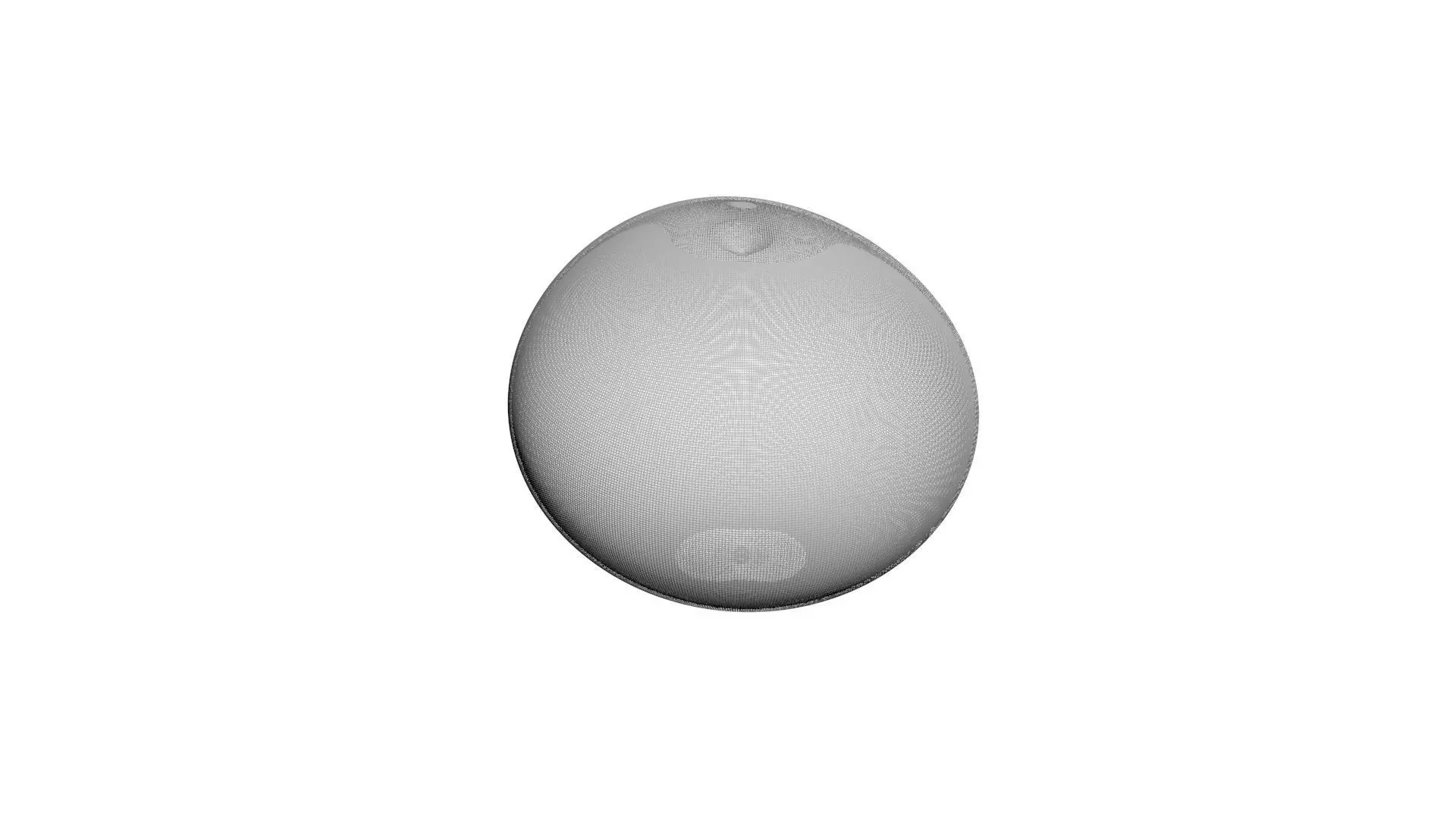 Blueberry 3D model_19