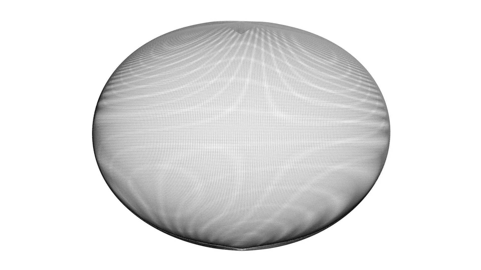 Blueberry 3D model_28