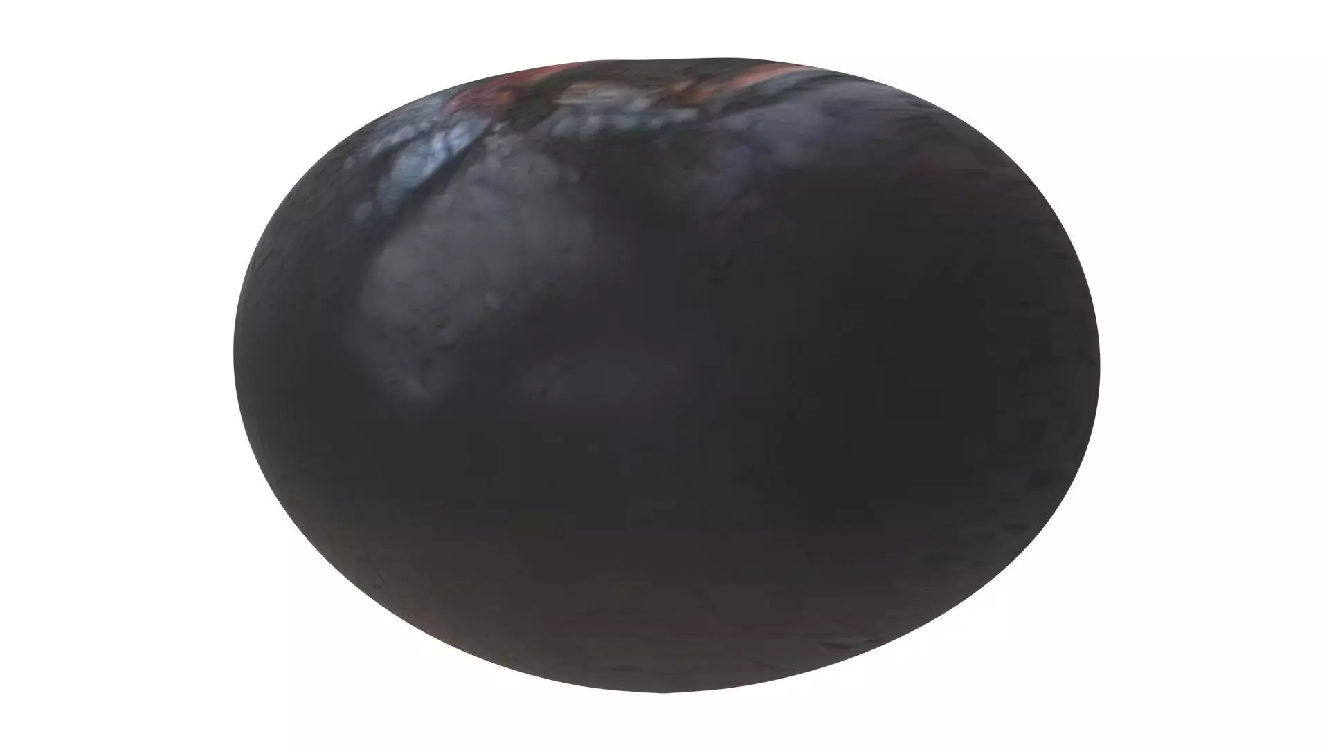 Blueberry 3D model_18