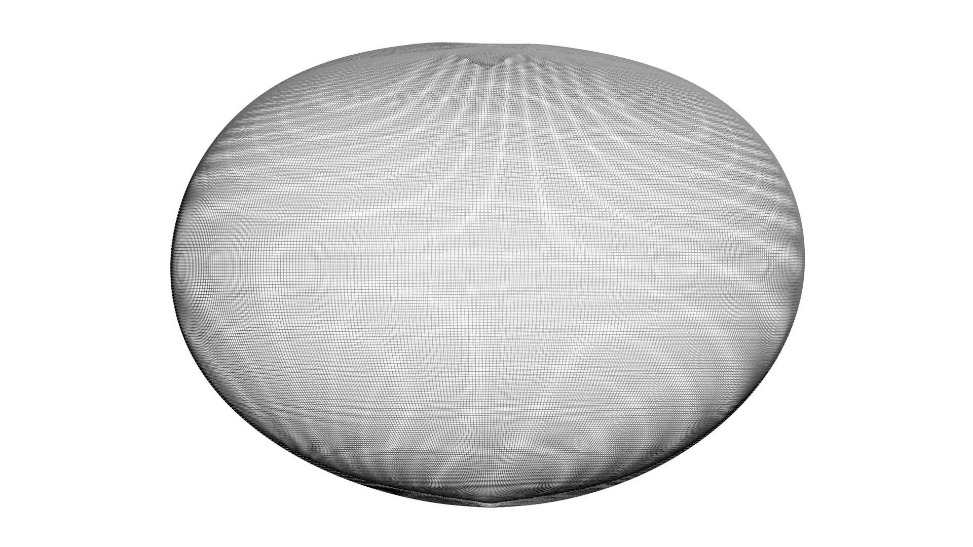 Blueberry 3D model_26