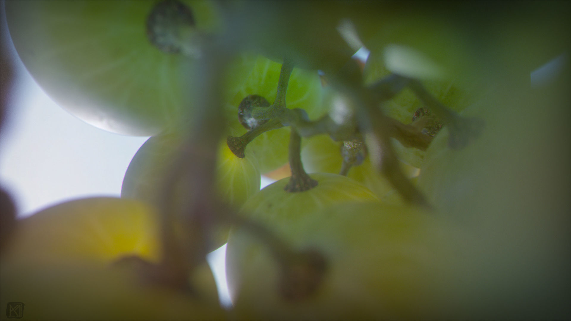 Fruit Bowl - Grapes Leaves Apples Cut Damast Knife Low-poly 3D model_13