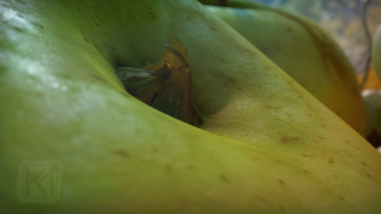 Apples High Resolution - whole fruit and cut Low-poly 3D model_5